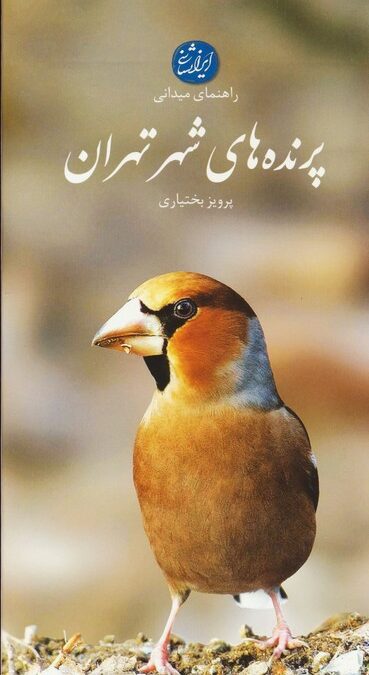 پرنده های شهر تهران (راهنمای میدانی)،(گلاسه)