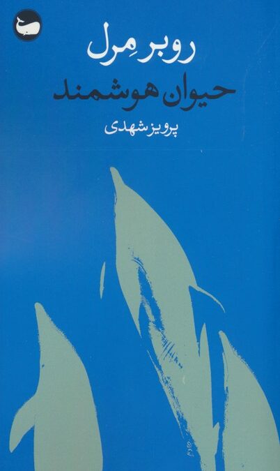 حیوان هوشمند