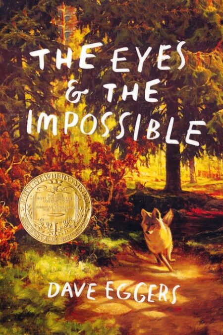 THE EYES AND THE IMPOSSIBLE:چشم ها و غیرممکن ها (زبان اصلی،انگلیسی)