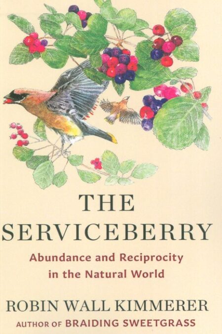 THE SERVICEBERRY:بلوبری بنفش (زبان اصلی،انگلیسی)