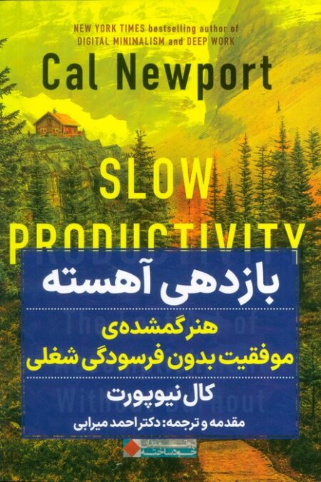 بازدهی آهسته (هنر گمشده ی موفقیت بدون فرسودگی شغلی)