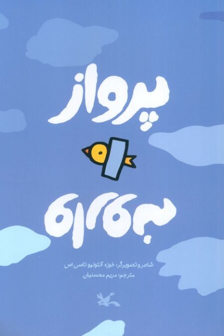 پرواز وارونه