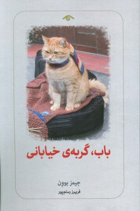 باب،گربه ی خیابانی