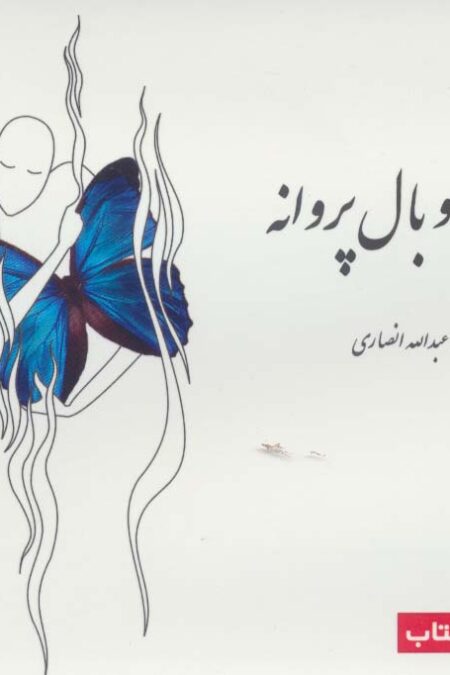 کتاب سخنگو آتش و بال پروانه همراه با کتاب (گلاسه،باقاب)