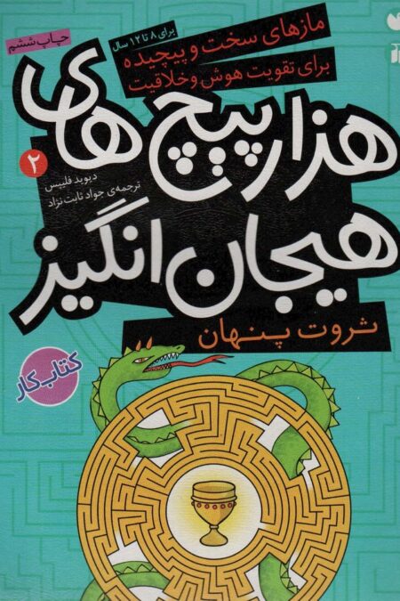 ثروت پنهان در هزارپیچ های هیجان انگیز (مازهای سخت و پیچیده برای تقویت هوش و خلاقیت 2)