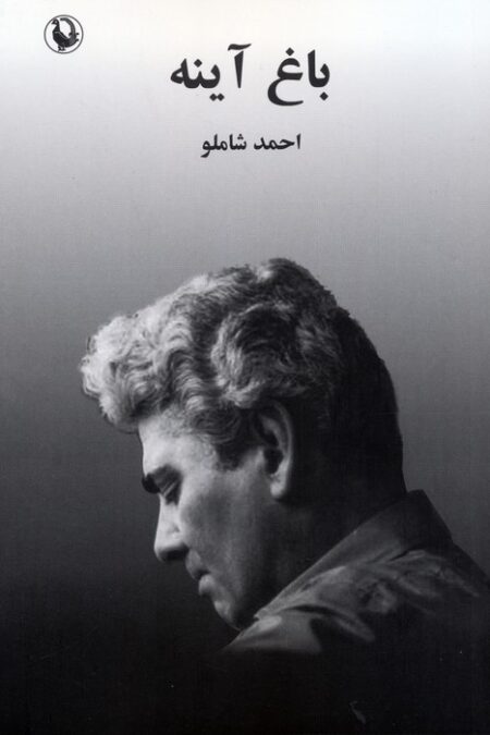 باغ آینه