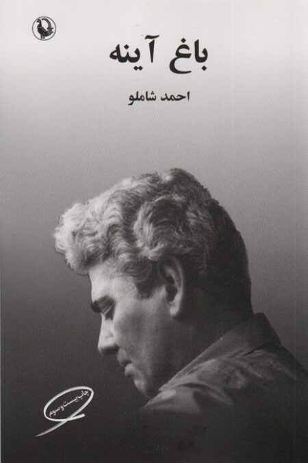 باغ آینه