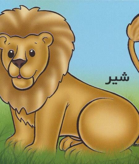 حیوانات را بشناسیم (شیر)،(گلاسه)