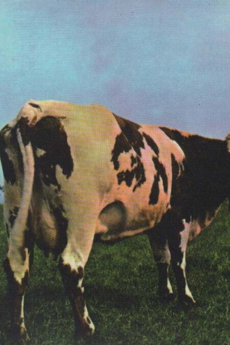 مادر قلب اتمی (Pink Floyd،Atom Heart Mother)،(سی دی صوتی)،(باقاب)