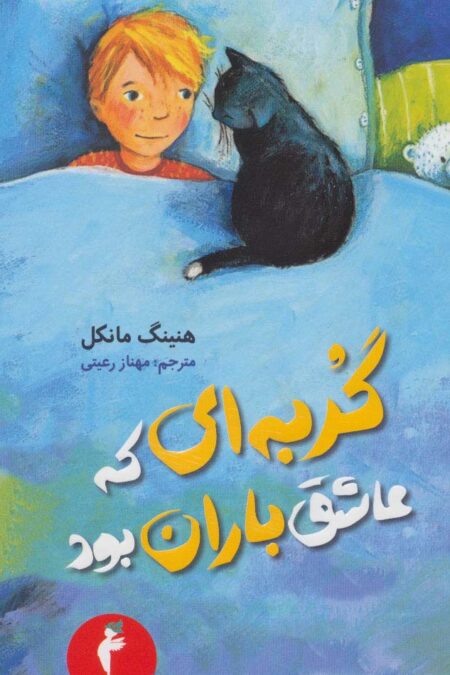 گربه ای که عاشق باران بود (ادب خیال34)