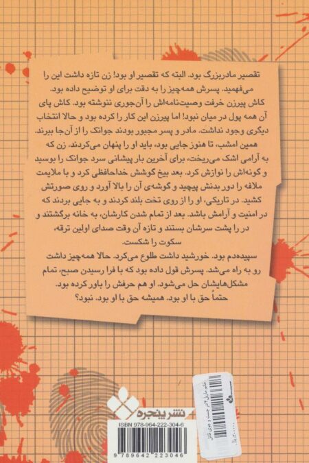 در جست و جوی قاتل (خانم مارپل کوچک و تبهکاران ناشناس 4)