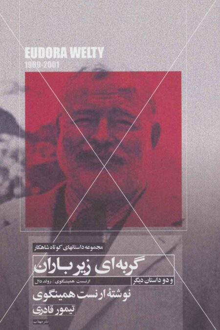 گربه ای زیر باران و دو داستان دیگر (داستانهای کوتاه شاهکار 6)