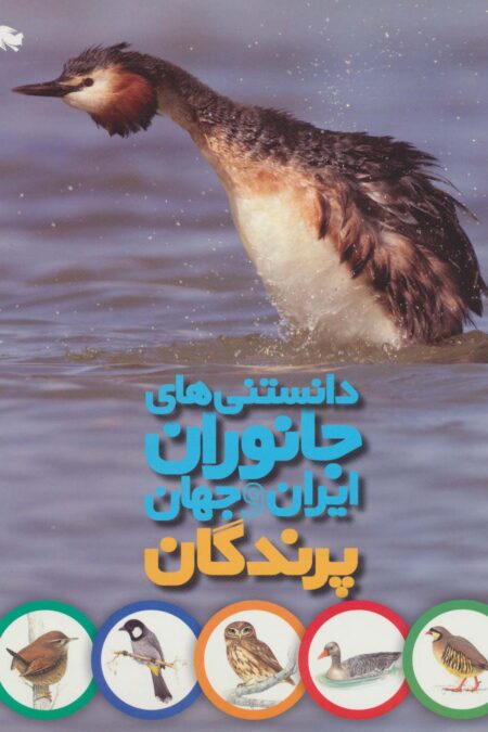 دانستنی های جانوران ایران و جهان (پرندگان)،(گلاسه)