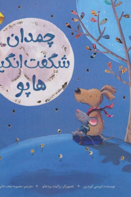 چمدان شگفت انگیز هاپو (گلاسه)