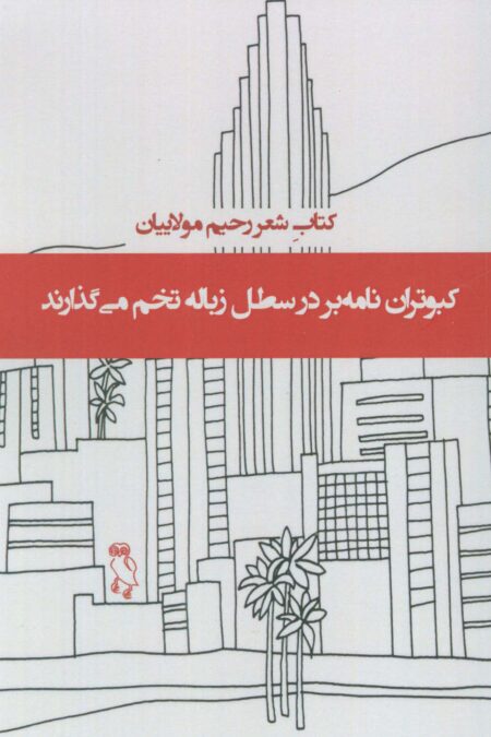 کبوتران نامه بر در سطل زباله تخم می گذارند (کتاب شعر)