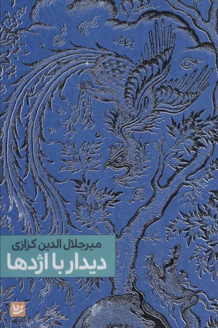 دیدار با اژدها