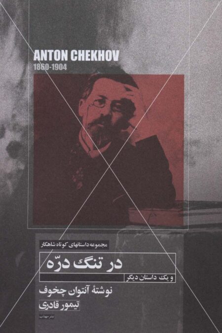 در تنگ دره و یک  داستان دیگر (داستانهای کوتاه شاهکار17)