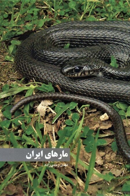 مارهای ایران (گلاسه)