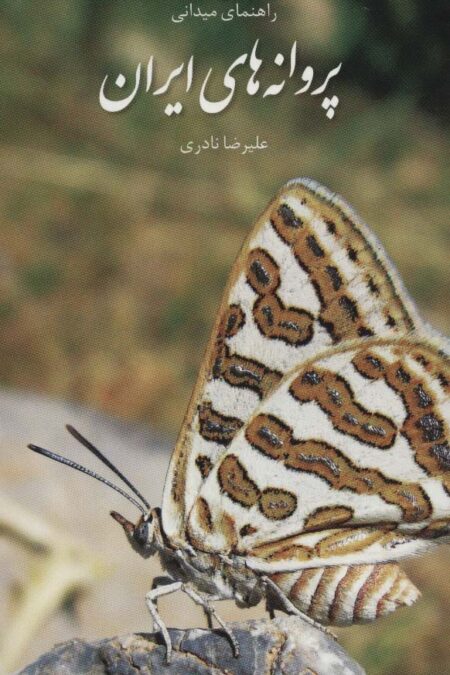 پروانه های ایران (راهنمای میدانی)،(گلاسه)