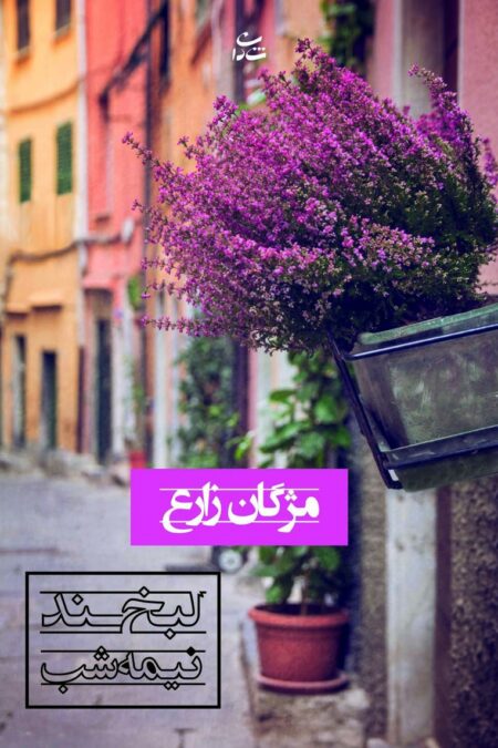 لبخند نیمه شب (رمان1260)