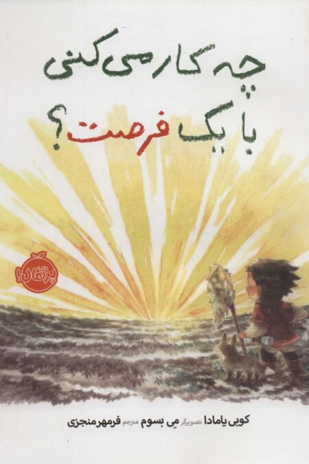 چه کار می کنی با یک فرصت؟ (گلاسه)