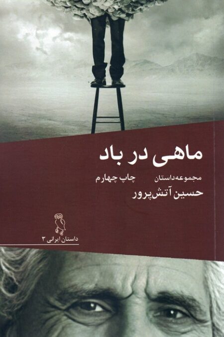 ماهی در باد (مجموعه داستان)