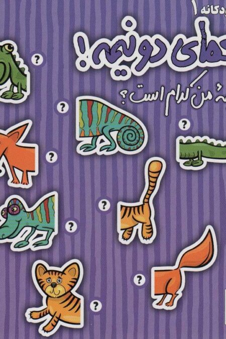 معمای دو نیمه! (نیمه من کدام است؟)،(گلاسه)