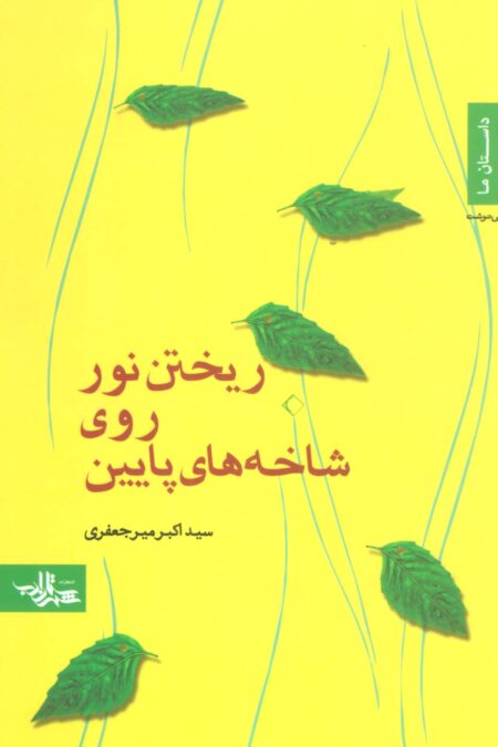 ریختن نور روی شاخه های پایین (داستان ما،رمان ایرانی19)