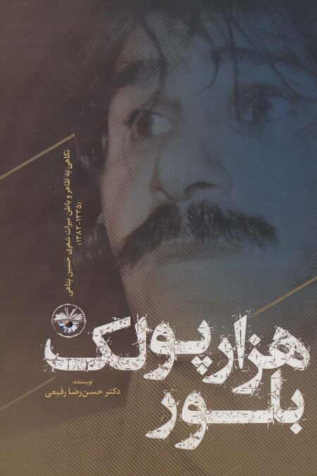 هزار پولک بلور:نگاهی به ظاهر و باطن میراث شعری حسین پناهی (1335-1383)