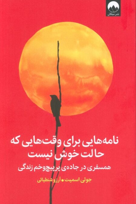 نامه هایی برای وقت هایی که حالت خوش نیست (همسفری در جاده ی پرپیچ و خم زندگی)