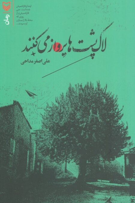 لاک پشت ها پرواز می کنند