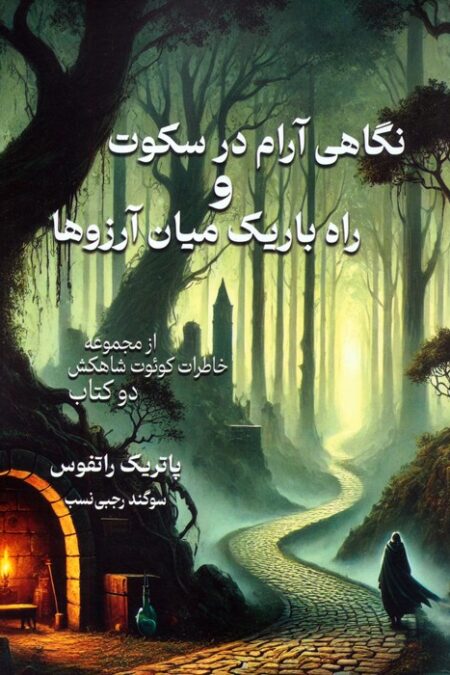 نگاهی آرام در سکوت و راه باریک میان آرزوها
