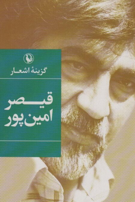 گزینه اشعار16 (قیصر امین پور)