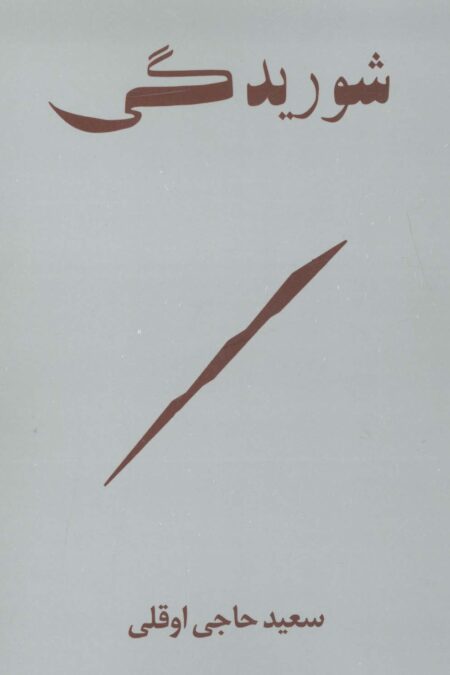 شوریدگی