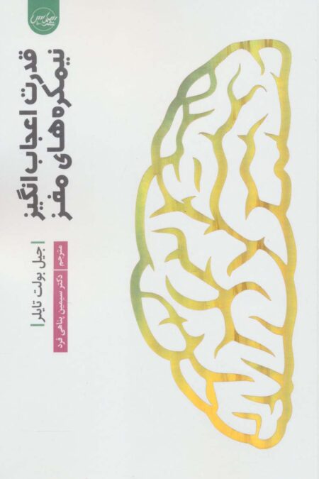 قدرت اعجاب انگیز نیمکره های مغز