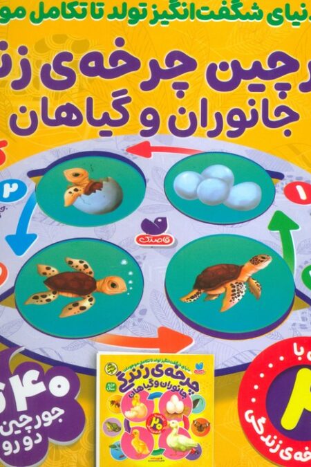 بسته پازل فومی چرخه ی زندگی جانوران و گیاهان (کتاب+جورچین 40 تکه)،(باجعبه)
