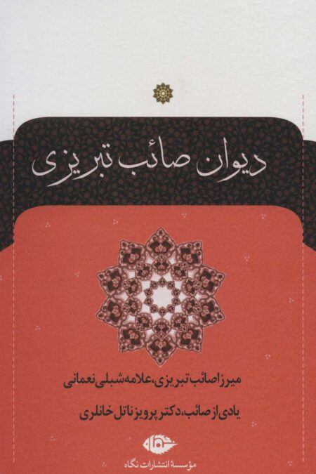 دیوان صائب تبریزی (2جلدی)