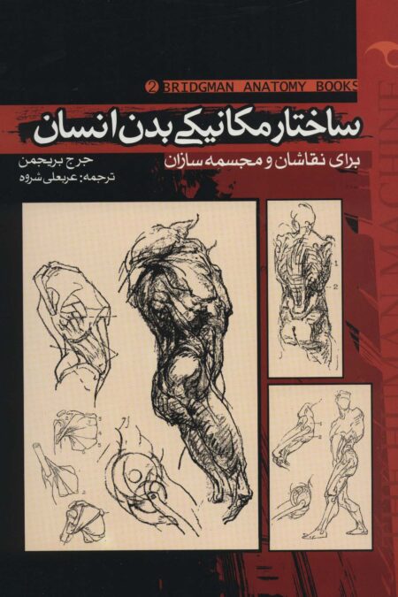ساختار مکانیکی بدن انسان 2 (برای نقاشان و مجسمه سازان)