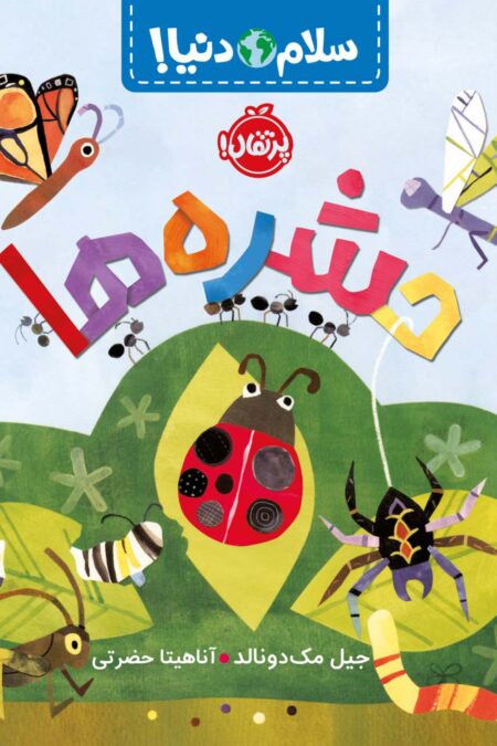حشره ها (سلام دنیا!)،(گلاسه)