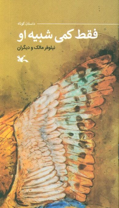 فقط کمی شبیه او (گلاسه)