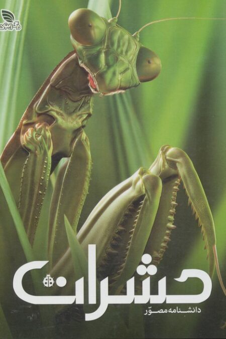 دانشنامه مصور حشرات (گلاسه)