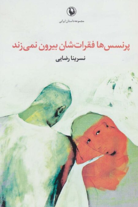 پرنسس ها فقرات شان بیرون نمی زند (مجموعه داستان ایرانی)