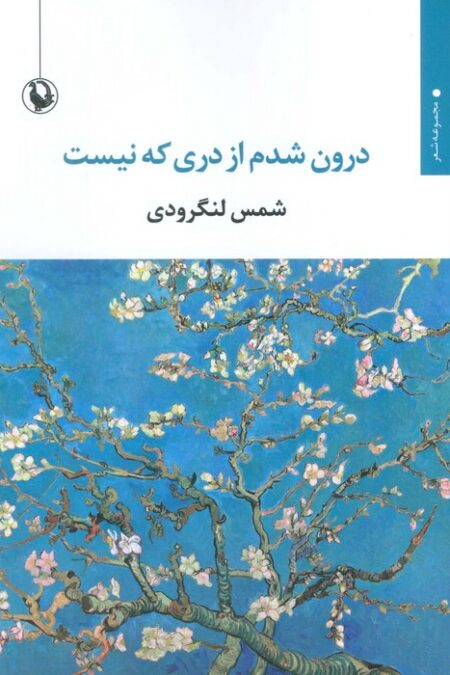 درون شدم از دری که نیست
