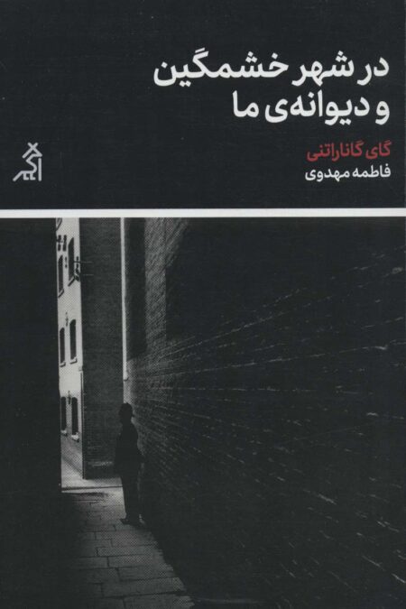 در شهر خشمگین و دیوانه ی ما