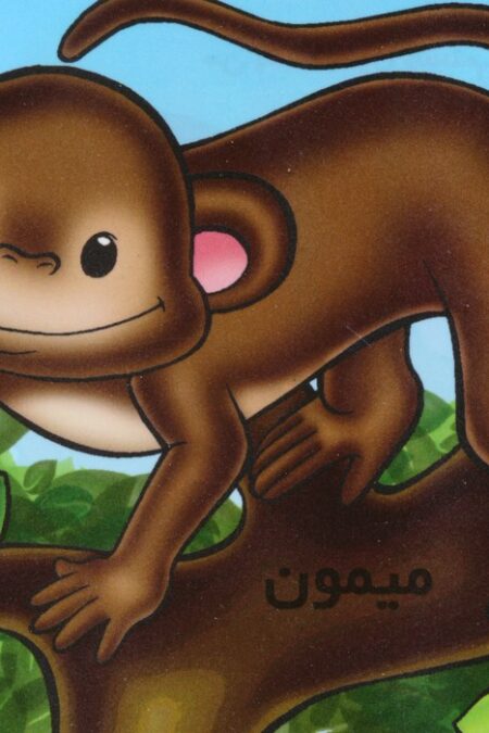 حیوانات را بشناسیم (میمون)،(گلاسه)