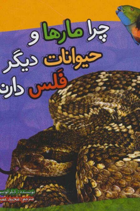 چرا مارها و حیوانات دیگر فلس دارند؟ (گلاسه)