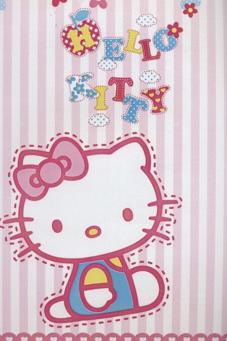 دفتر نقاشی کیتی 40برگ (کد 604)،(سیمی)