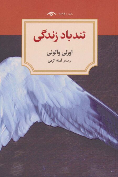 تندباد زندگی