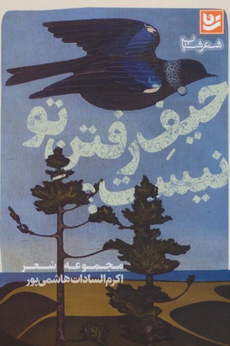 حیف رفتن تو نیست؟ (شعر شباب23)