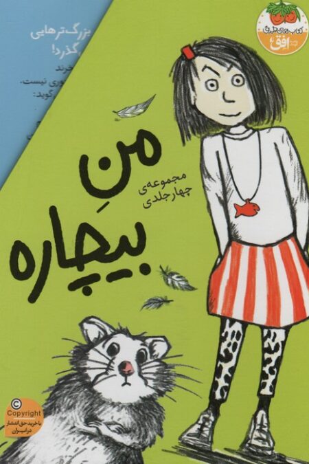 مجموعه من بیچاره (4جلدی،باقاب)